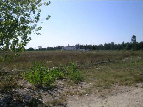 Terreno Industrial para Polo Logístico em Canha, Montijo