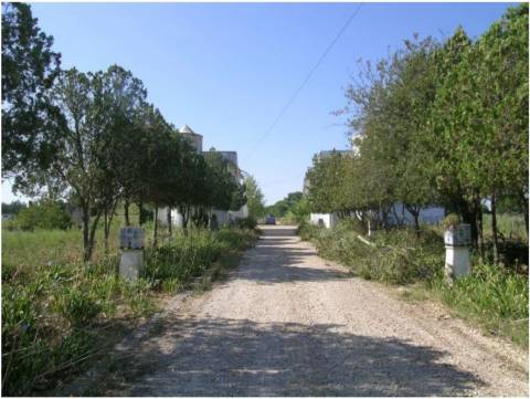 Terreno Industrial para Polo Logístico em Canha, Montijo