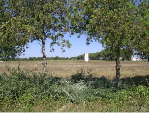 Terreno Industrial para Polo Logístico em Canha, Montijo