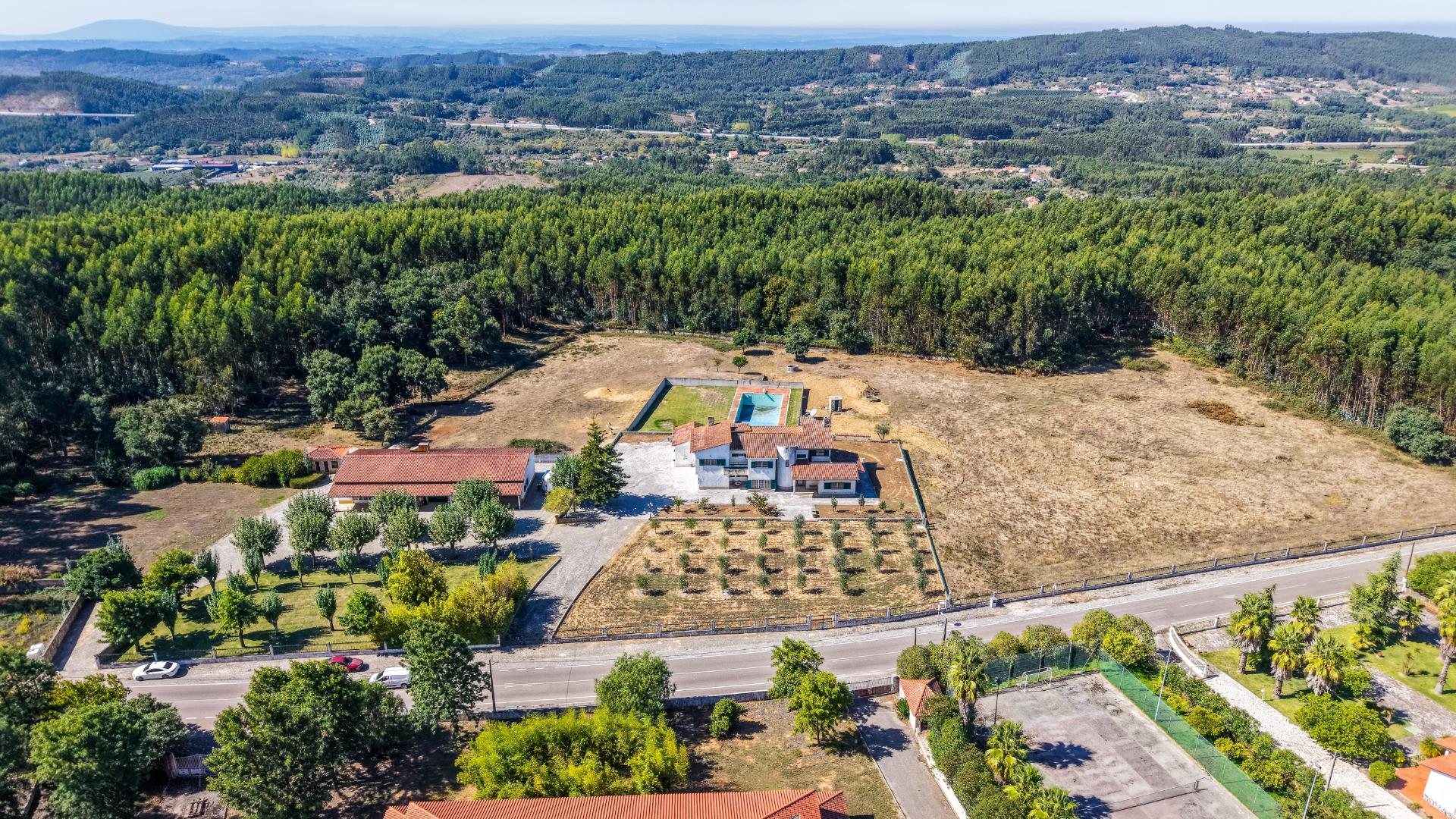 Quinta com 3,14 Hectares e Piscina | Ferreira do Zêzere