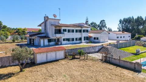 Quinta com 3,14 Hectares e Piscina | Ferreira do Zêzere