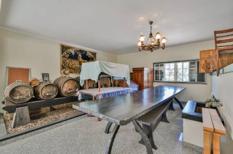 Quinta com 3,14 Hectares e Piscina | Ferreira do Zêzere