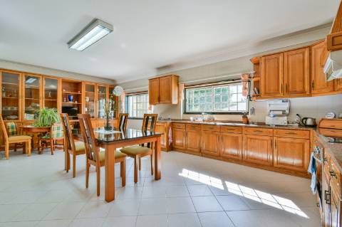 Quinta com 3,14 Hectares e Piscina | Ferreira do Zêzere