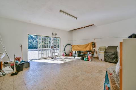 Quinta com 3,14 Hectares e Piscina | Ferreira do Zêzere