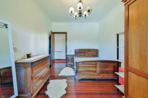 Quinta com 3,14 Hectares e Piscina | Ferreira do Zêzere