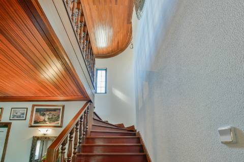 Quinta com 3,14 Hectares e Piscina | Ferreira do Zêzere