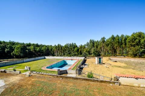 Quinta com 3,14 Hectares e Piscina | Ferreira do Zêzere
