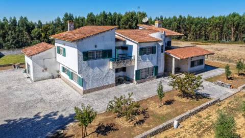 Quinta com 3,14 Hectares e Piscina | Ferreira do Zêzere