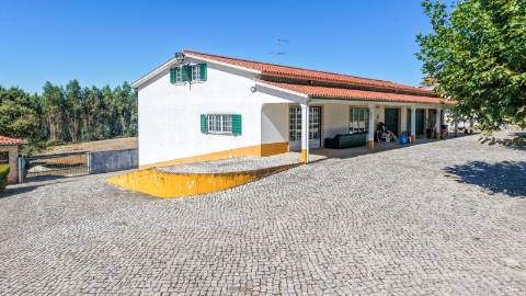 Quinta com 3,14 Hectares e Piscina | Ferreira do Zêzere