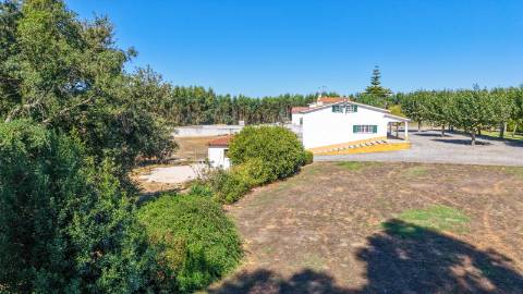Quinta com 3,14 Hectares e Piscina | Ferreira do Zêzere