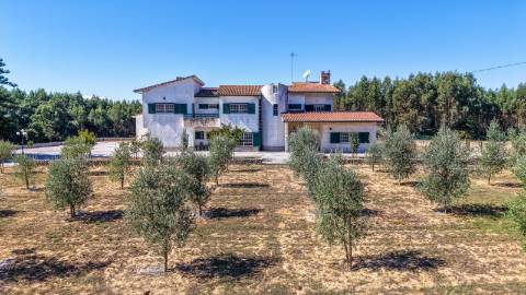 Quinta com 3,14 Hectares e Piscina | Ferreira do Zêzere