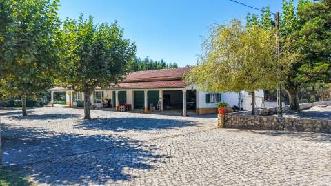 Quinta com 3,14 Hectares e Piscina | Ferreira do Zêzere