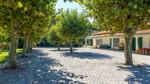 Quinta com 3,14 Hectares e Piscina | Ferreira do Zêzere