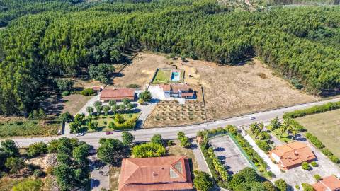 Quinta com 3,14 Hectares e Piscina | Ferreira do Zêzere
