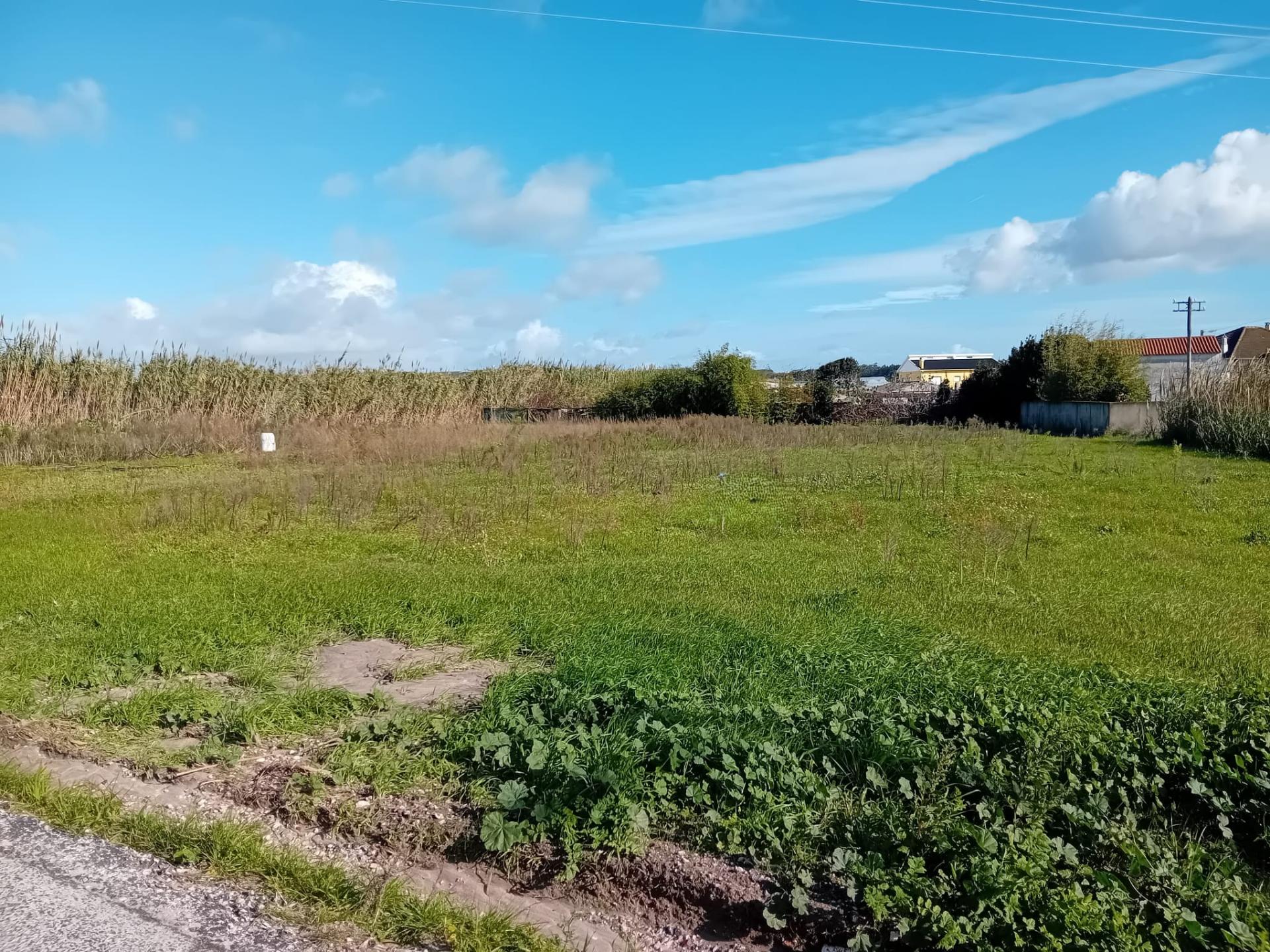 Terreno urbanizável 1720m2 Silveira, Torres Vedras