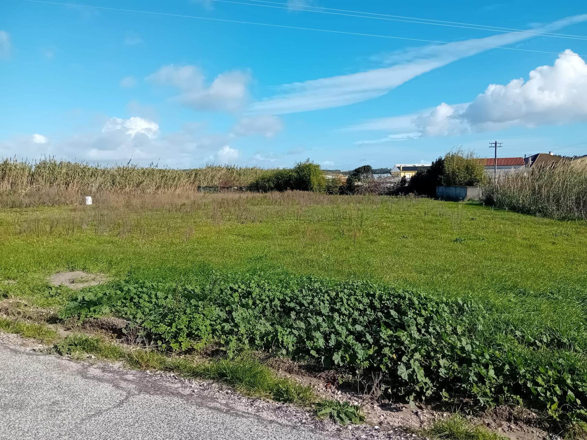 Terreno urbanizável 1720m2 Silveira, Torres Vedras