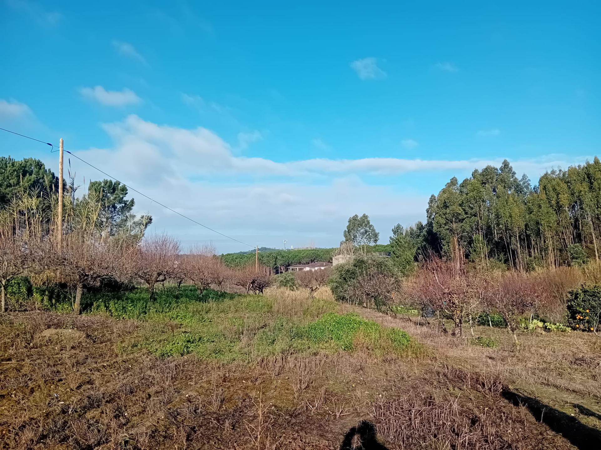 Terreno de 1264m2 com licença levantada em Cortes