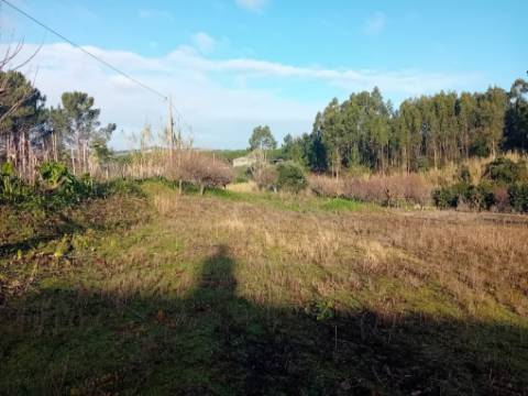 Terreno de 1264m2 com licença levantada em Cortes