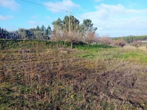 Terreno de 1264m2 com licença levantada em Cortes