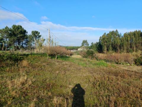 Terreno de 1264m2 com licença levantada em Cortes