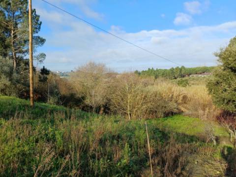 Terreno de 1264m2 com licença levantada em Cortes