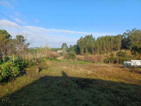 Terreno de 1264m2 com licença levantada em Cortes