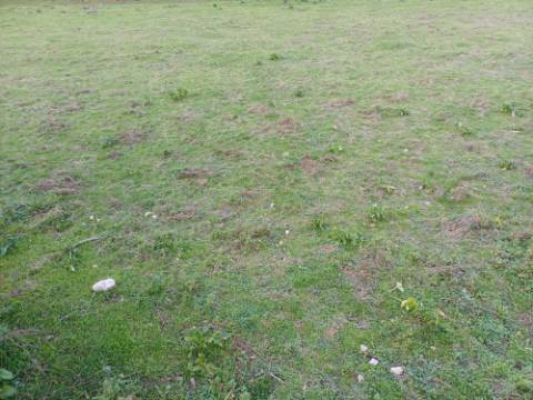 Terreno urbanizável para construção com 5400m2, bem localizado em Gândara dos Olivais, Leiria