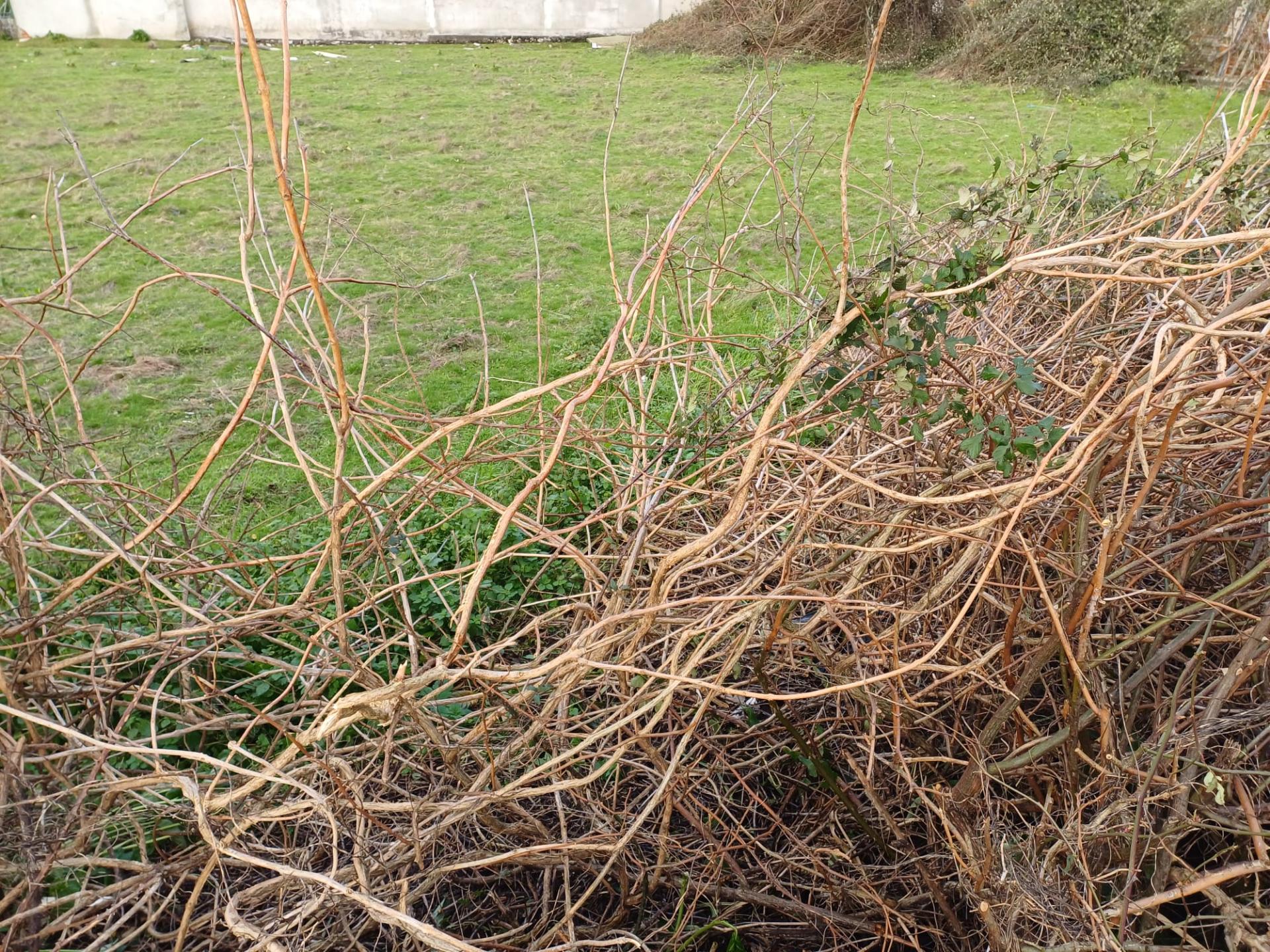 Terreno urbanizável para construção com 5400m2, bem localizado em Gândara dos Olivais, Leiria