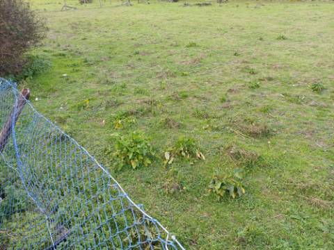 Terreno urbanizável para construção com 5400m2, bem localizado em Gândara dos Olivais, Leiria