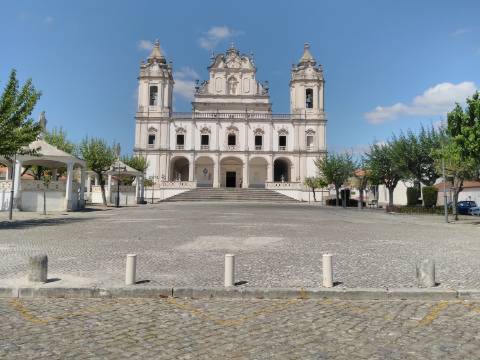 Terreno urbanizável para construção com 5400m2, bem localizado em Gândara dos Olivais, Leiria