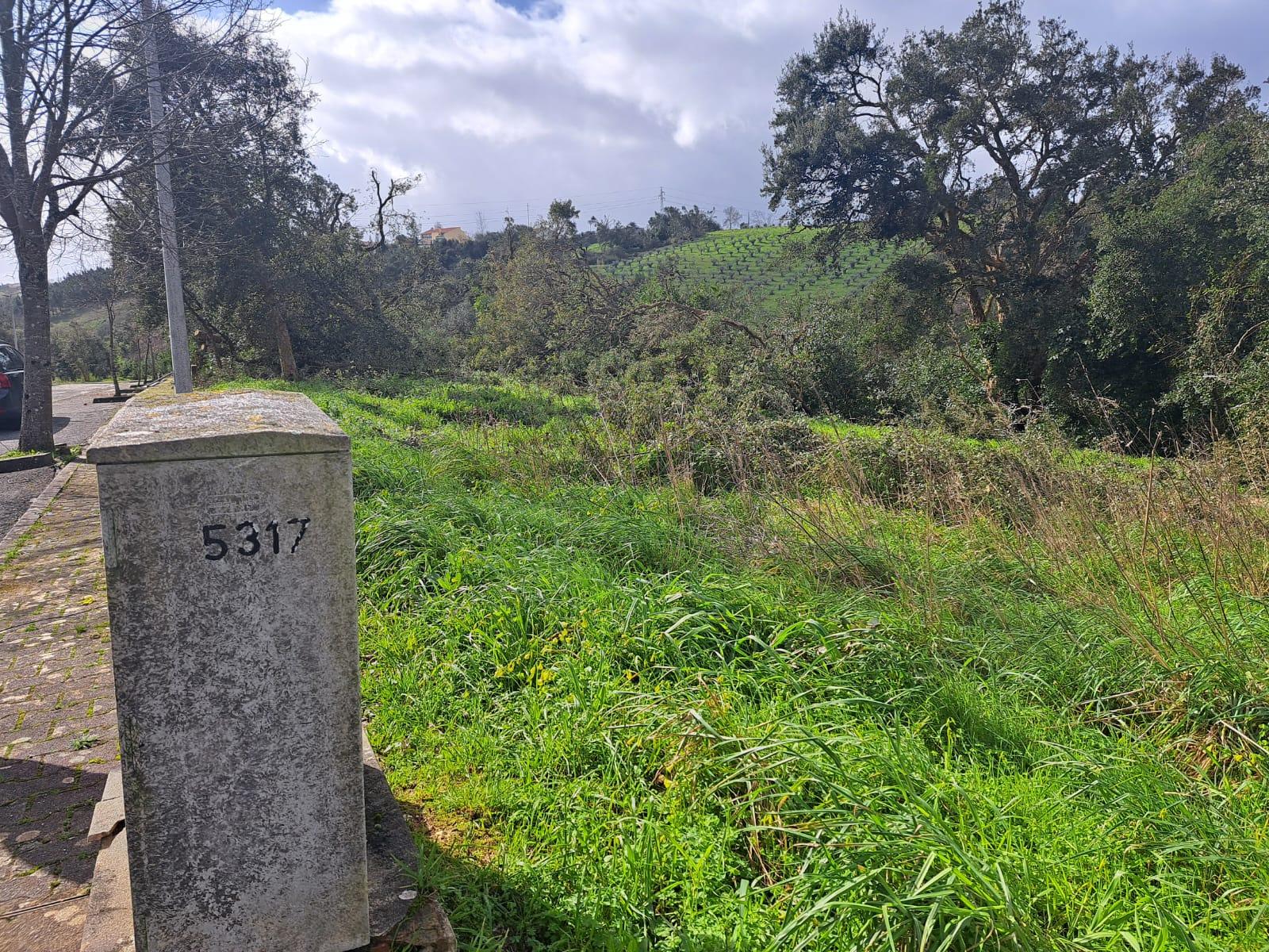 Terreno de 562m2 urbano em Barreira, Leiria