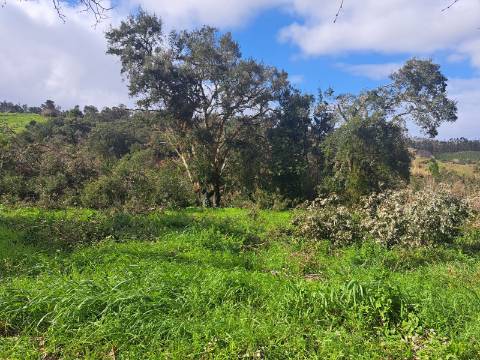 Terreno de 562m2 urbano em Barreira, Leiria