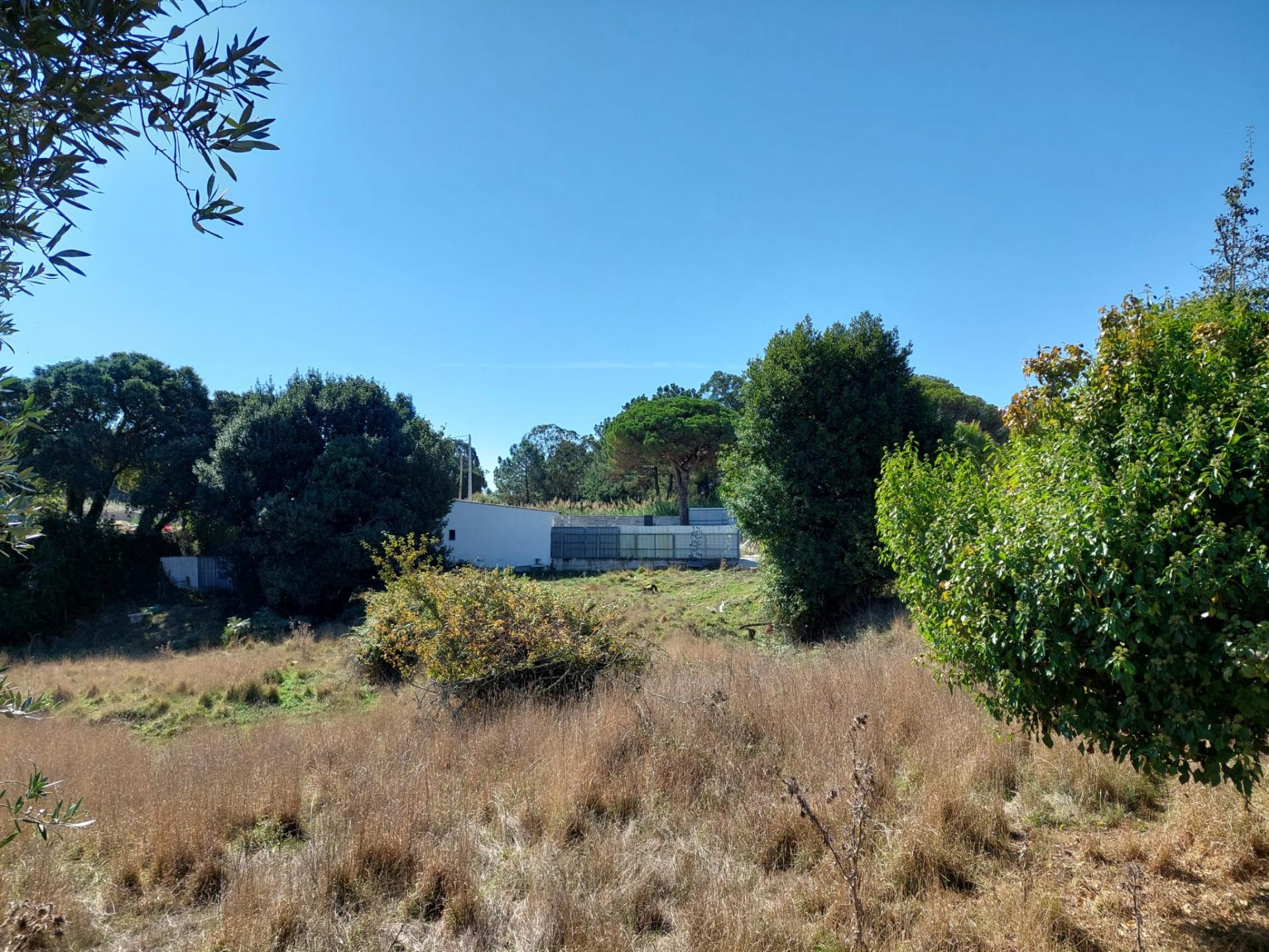 Lote para construção a 5 minutos das Caldas da Rainha