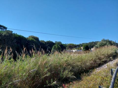 Lote para construção a 5 minutos das Caldas da Rainha