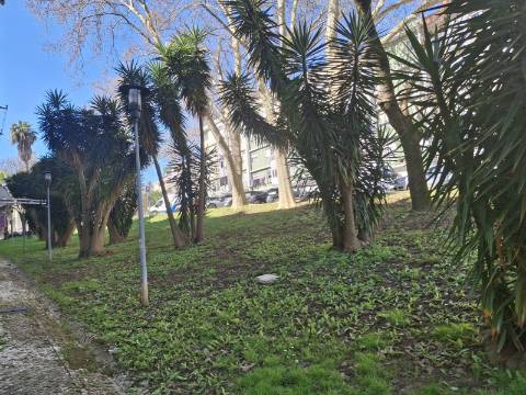 Apartamento T2 remodelado no Bairro do Charquinho em Benfica