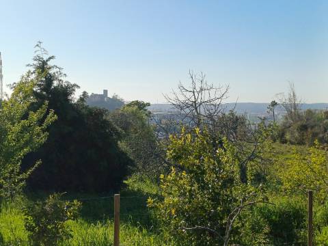 Terreno com 1.342 m² localizado no centro de Leiria, com uma vista privilegiada para o castelo