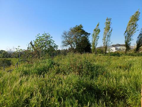 Terreno com 1.342 m² localizado no centro de Leiria, com uma vista privilegiada para o castelo