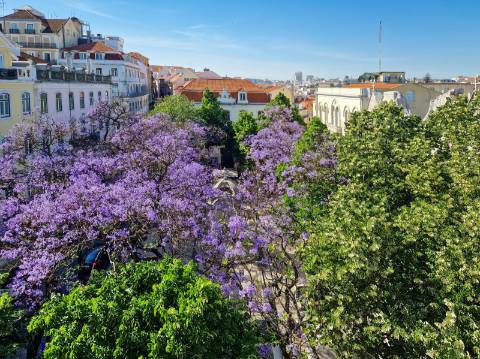 Apartamento T2+2 no Largo do Carmo