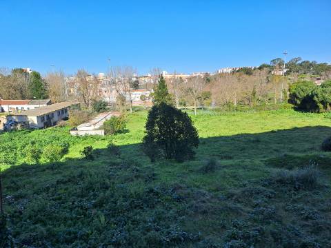 Loja com boas montras e terraço