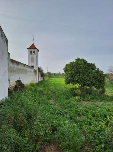 Terreno com viabilidade de construção de moradia