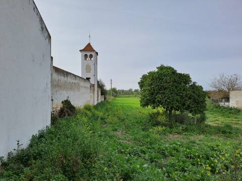 Terreno com viabilidade de construção de moradia