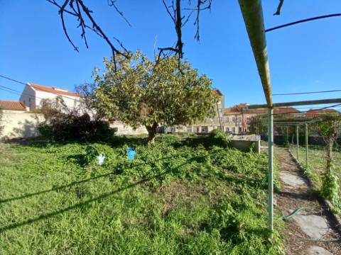 Terreno com viabilidade de construção Edifício Habitacional