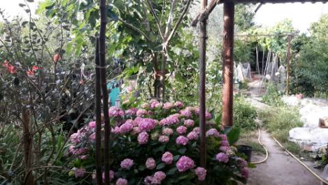 Casa rústica com terreno