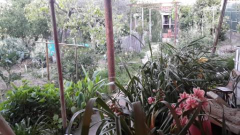 Casa rústica com terreno