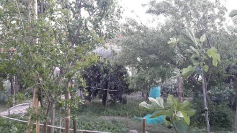 Casa rústica com terreno