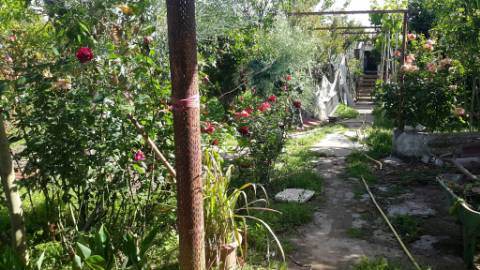 Casa rústica com terreno