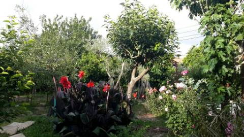 Casa rústica com terreno