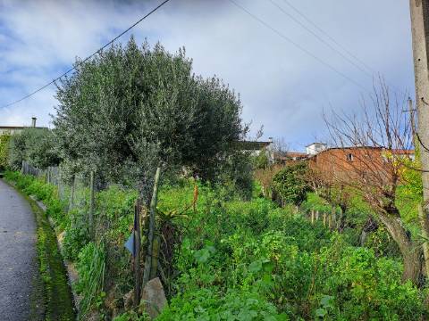 Casa antiga de r/c, para recuperação total com terreno
