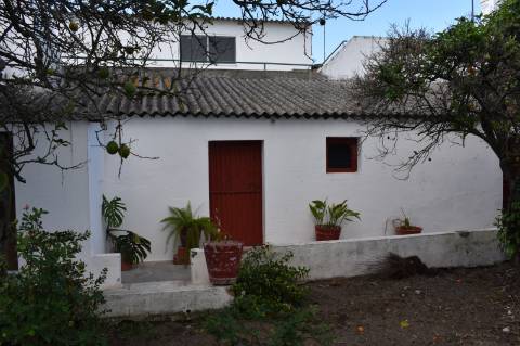 Moradia T2 com cozinha rústica