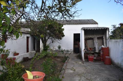 Moradia T2 com cozinha rústica